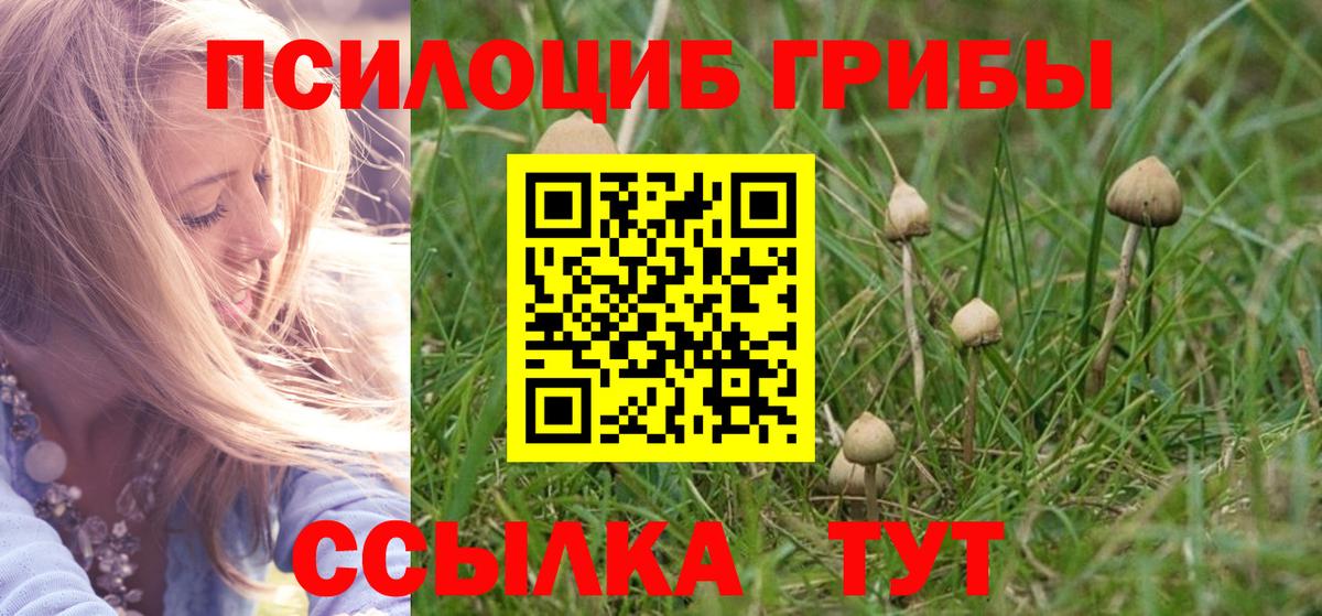 Галлюциногенные грибы Magic Shrooms  что такое наркотик  Дубна  Вход с VPN 