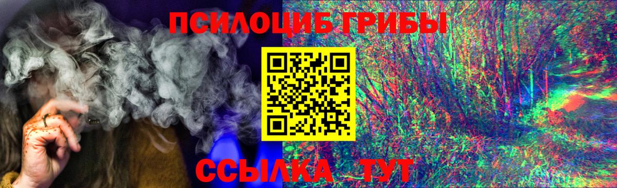 Галлюциногенные грибы Psilocybe Дубна